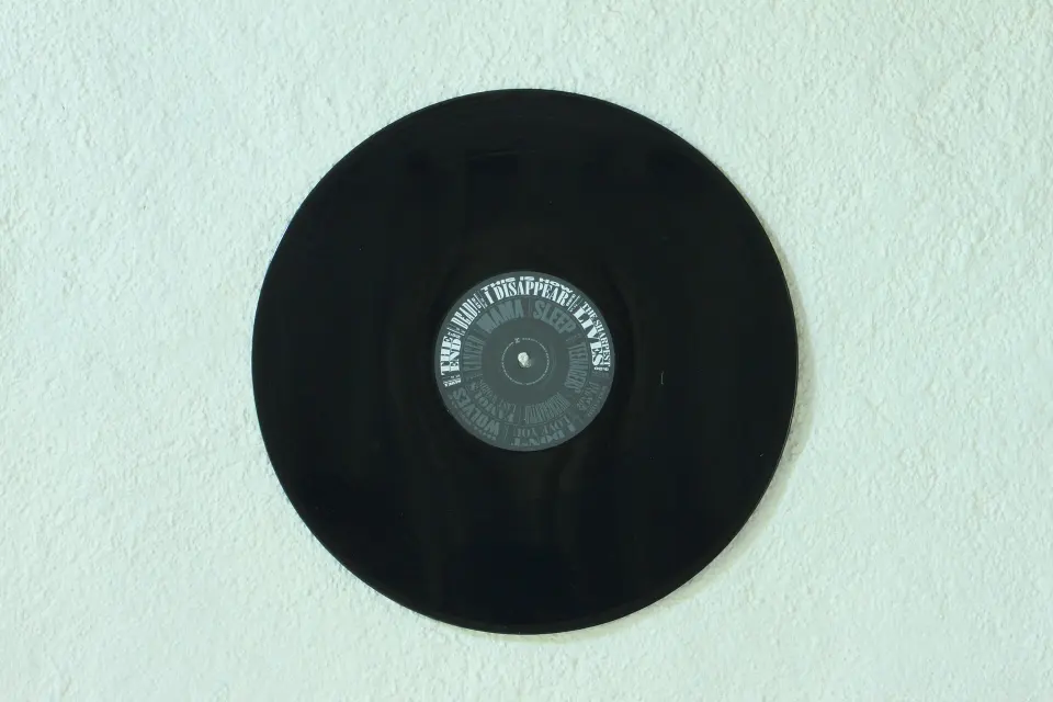 Imagen de Disco de vinilo.