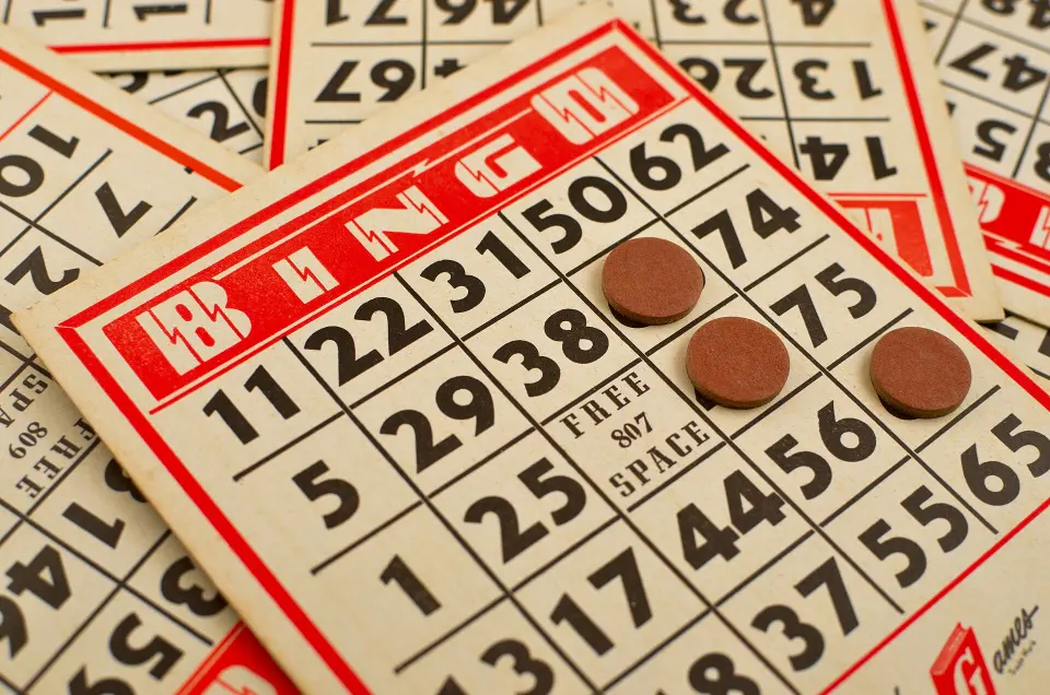 Image of Bingo.